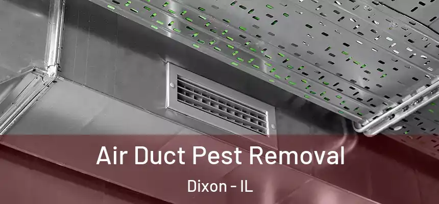 Air Duct Pest Removal Dixon - IL