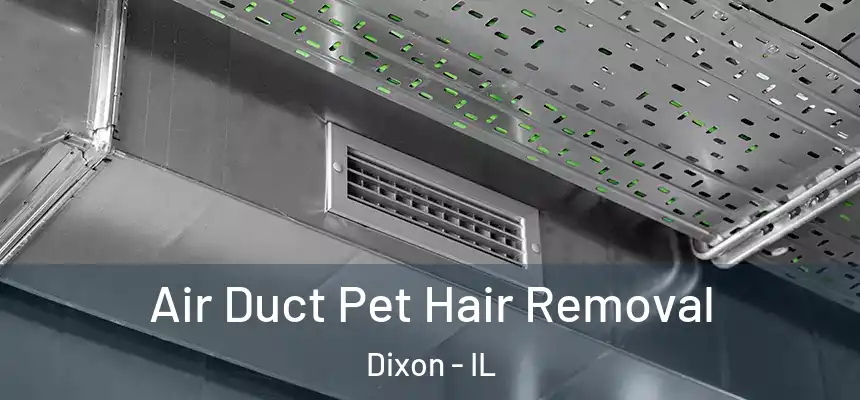Air Duct Pet Hair Removal Dixon - IL