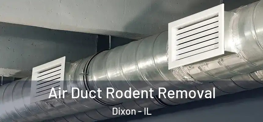 Air Duct Rodent Removal Dixon - IL