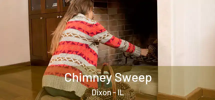 Chimney Sweep Dixon - IL