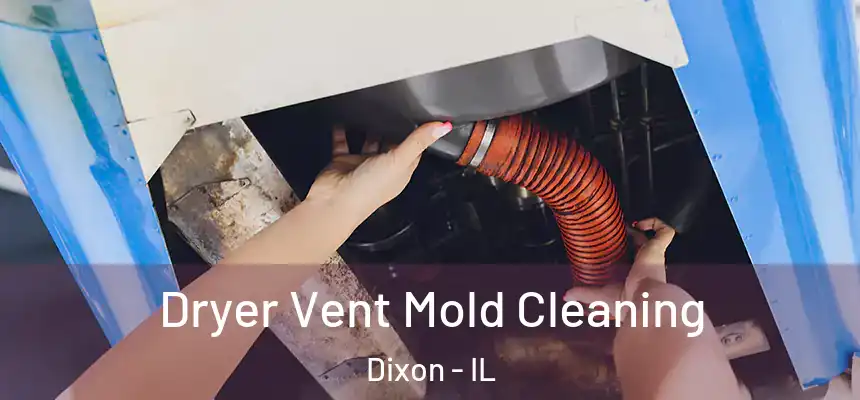  Dryer Vent Mold Cleaning Dixon - IL