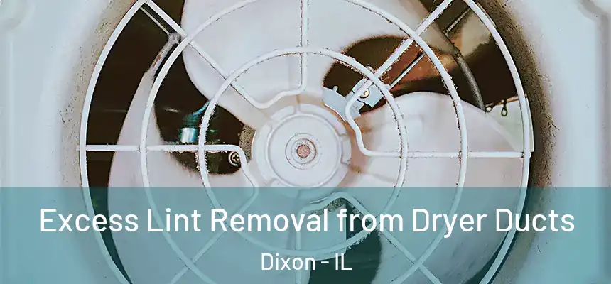  Excess Lint Removal from Dryer Ducts Dixon - IL