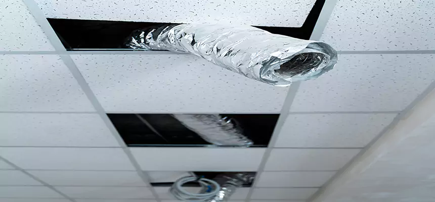 Affordable HVAC Sanitizing After Pest Removal in Dixon