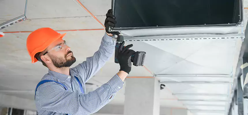 Roof Cap & Exterior Hood Lint Buildup Removal – Dixon