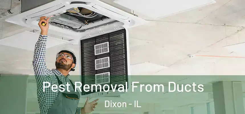  Pest Removal From Ducts Dixon - IL