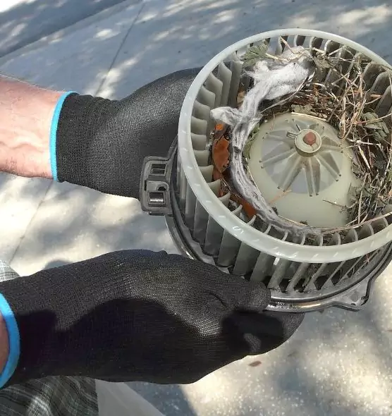 About Air Duct Mice Removal in Dixon, IL