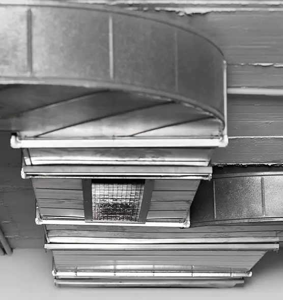 Professional Air Duct Pet Hair Removal in Dixon, IL