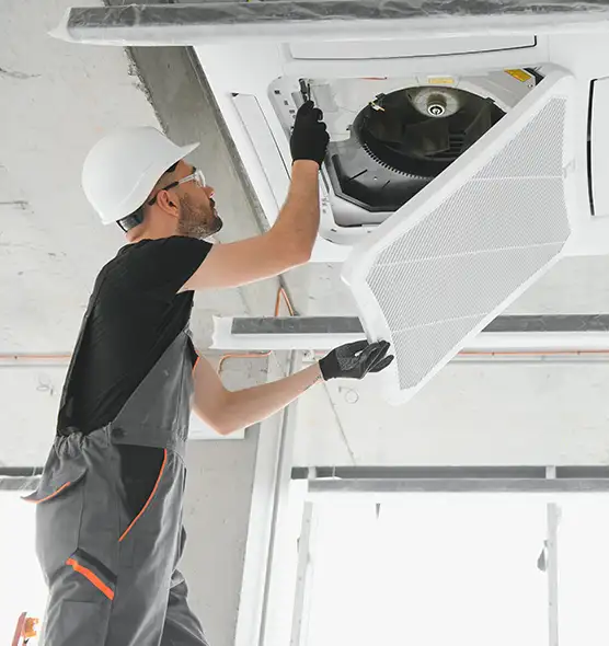 About Air Duct Rodent Removal in Dixon, IL