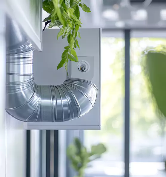 Professional Eco-Friendly Duct Cleaning Services in Dixon, IL