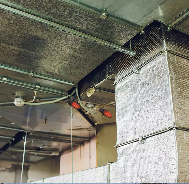 Why Homeowners & Businesses Trust Us in Dixon, IL?