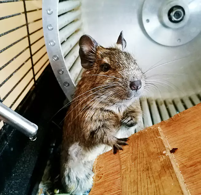 Why Homeowners & Businesses Trust Us Dixon, IL