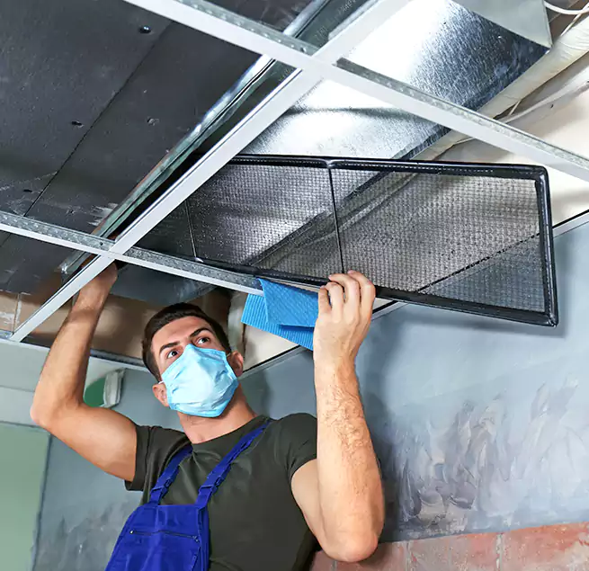 Why Homeowners Businesses Trust Us in Dixon, IL