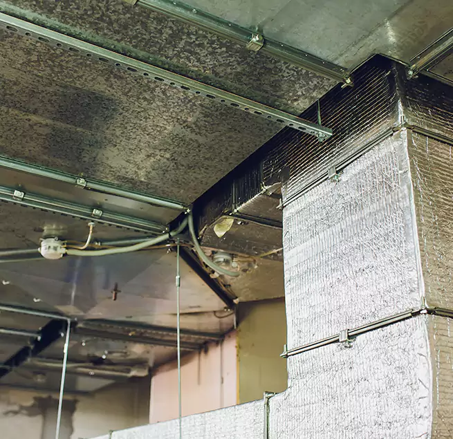 Why Homeowners & Businesses Trust Us in Dixon, IL?